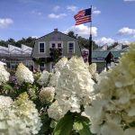 Lake Street Garden Center