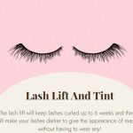 The Lash Collective