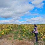 Endless View Farms