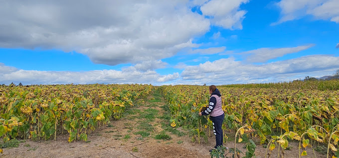 Endless View Farms