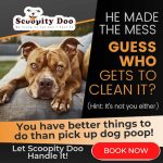 Scoopity Doo