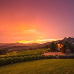 Afton Mountain Vineyards