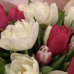 Westwind Flower Farm and Studio