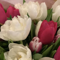 Westwind Flower Farm and Studio