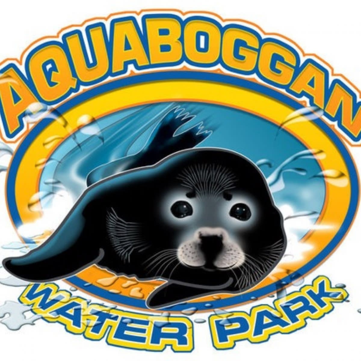 Aquaboggan General Ticket 2024 Season