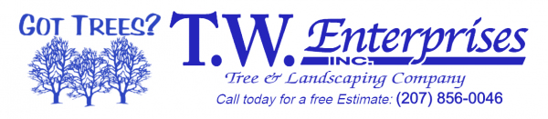 TW Tree Enterprises