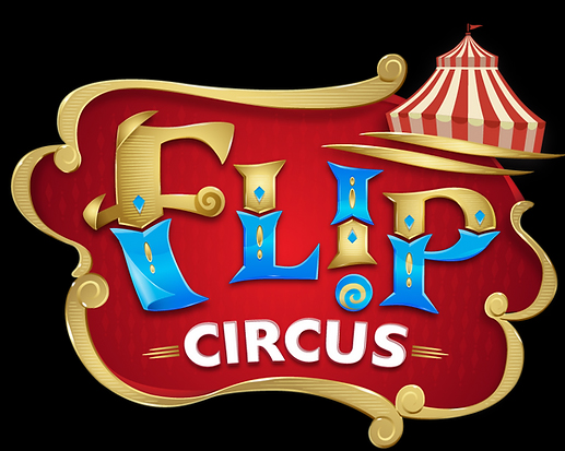 Flip Circus
