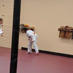 Phoenix No Limits Karate