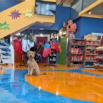 Super Dogs & Cats