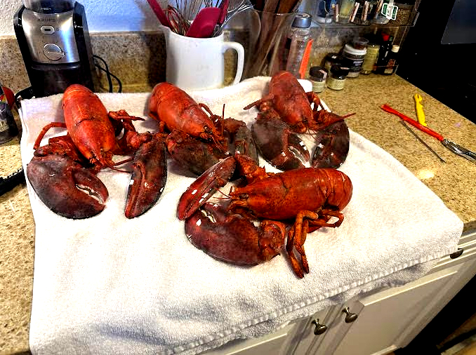 Young's Lobster Pound & Seafood Restaurant