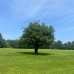 West Appleton Country Club