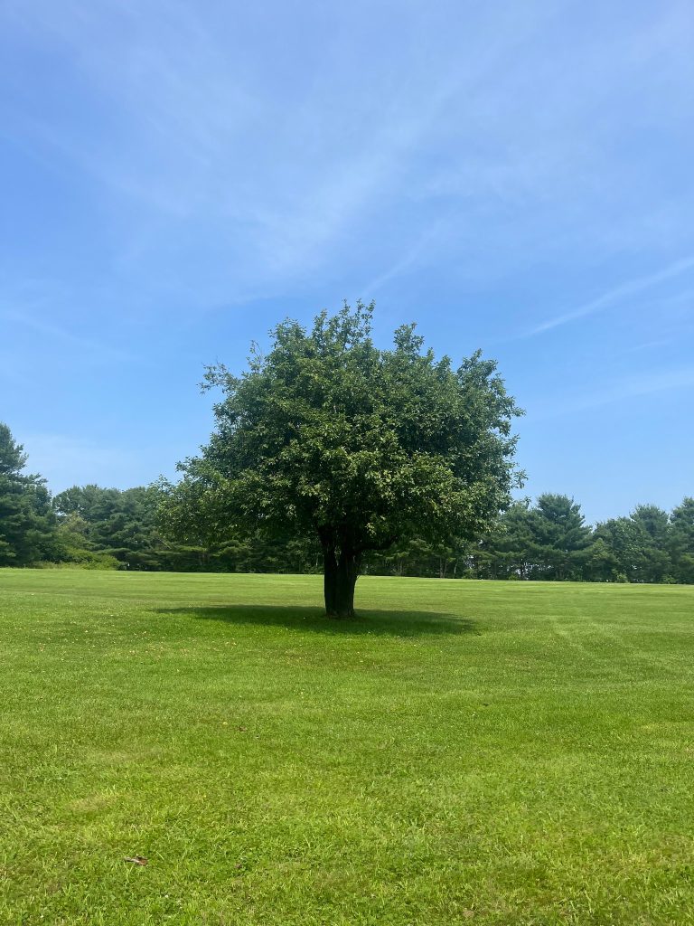 West Appleton Country Club