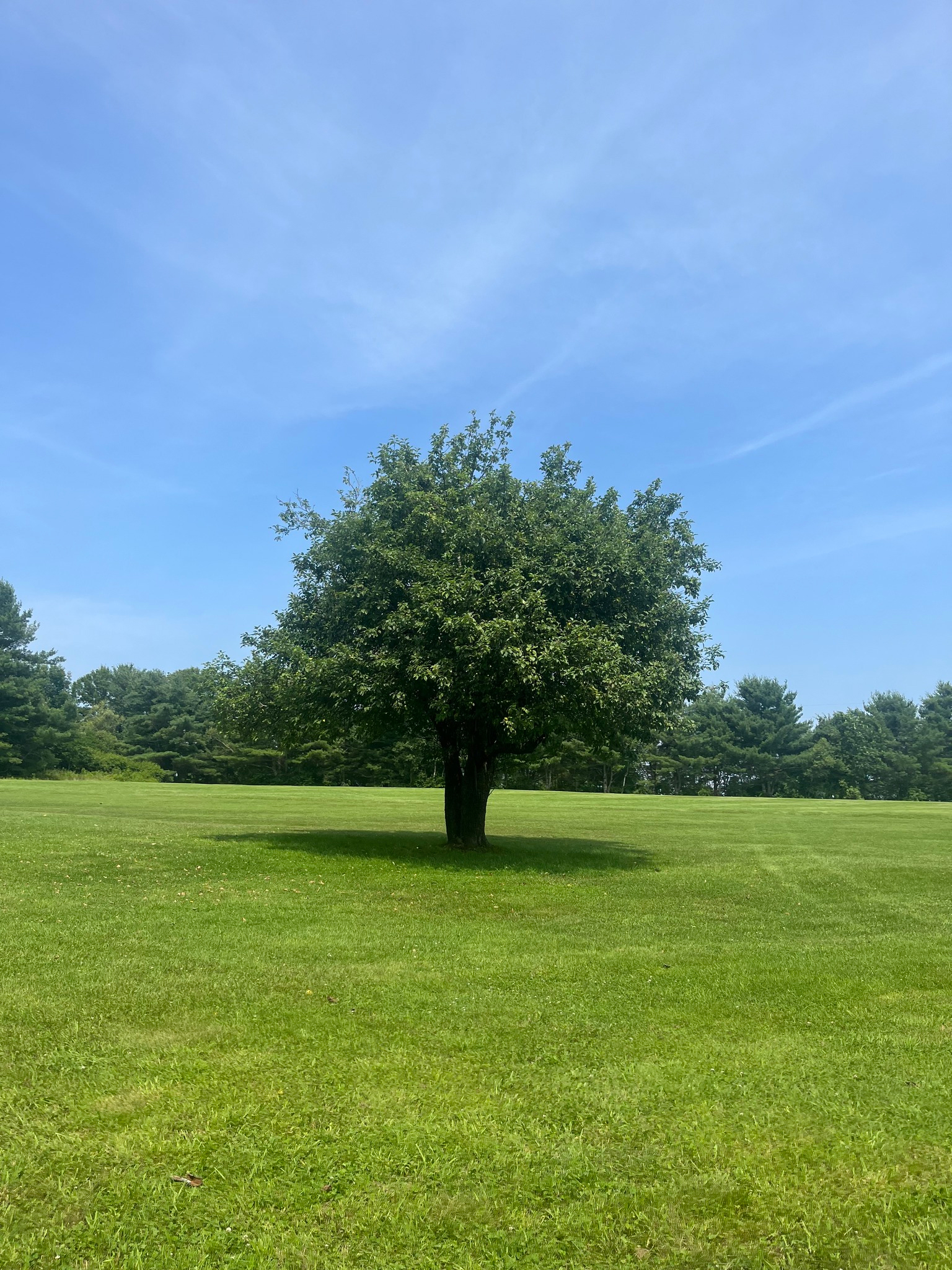 West Appleton Country Club