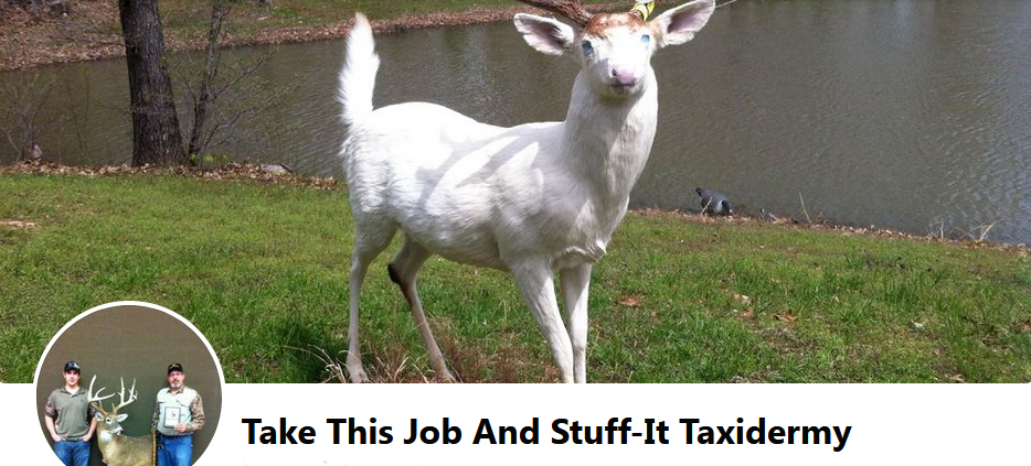 Take This Job and Stuff-IT Taxidermy