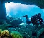 Cape Dive & Travel