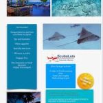 Cape Dive & Travel