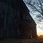 Pumpkin Hollow
