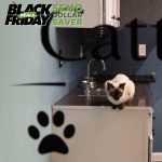 All 4 Paws Motel & Spa
