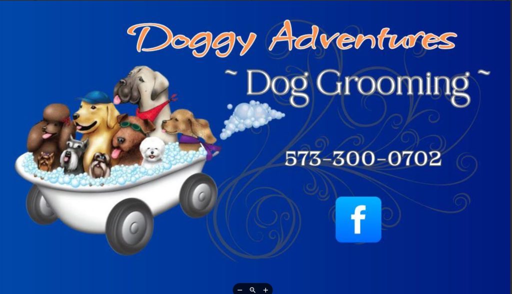 Doggy Adventures
