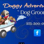 Doggy Adventures