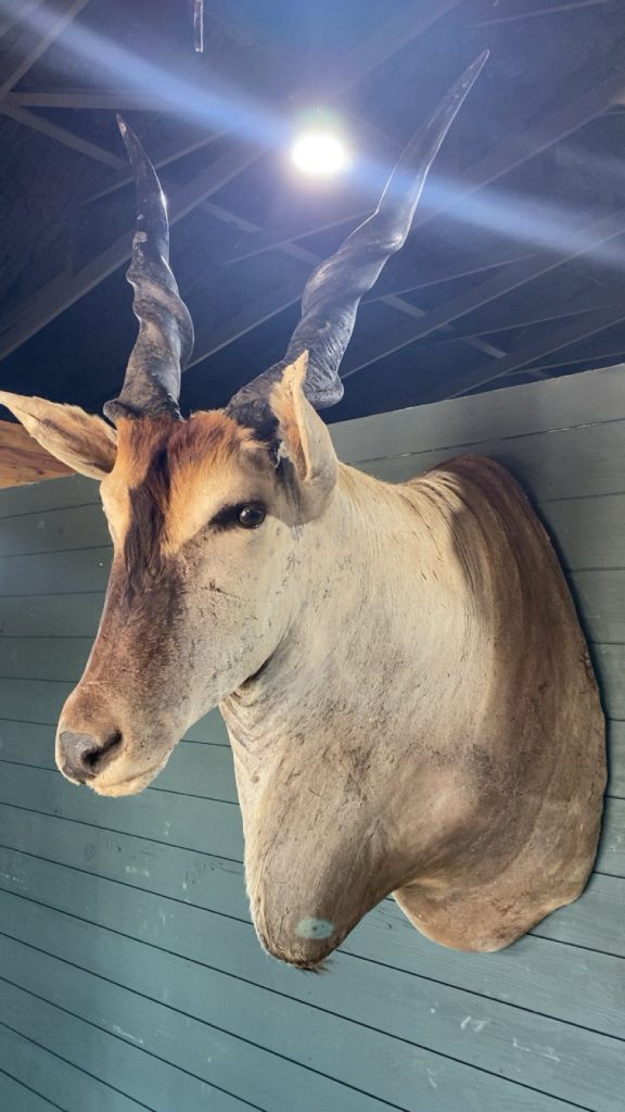 The Mill Vintage Market