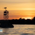 Clayton Island Tours